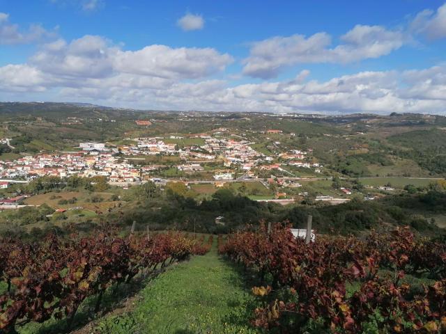 terreno rustico