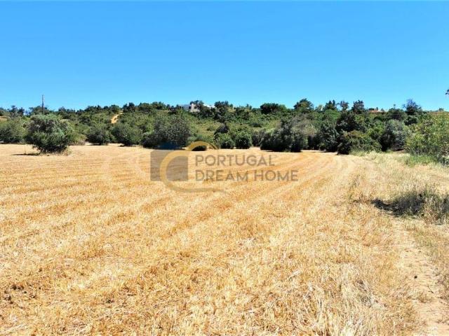 Terreno Rústico