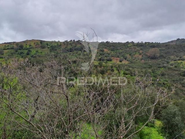 Terreno Rustico 5500 m2
