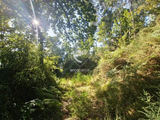 Terreno Rustico