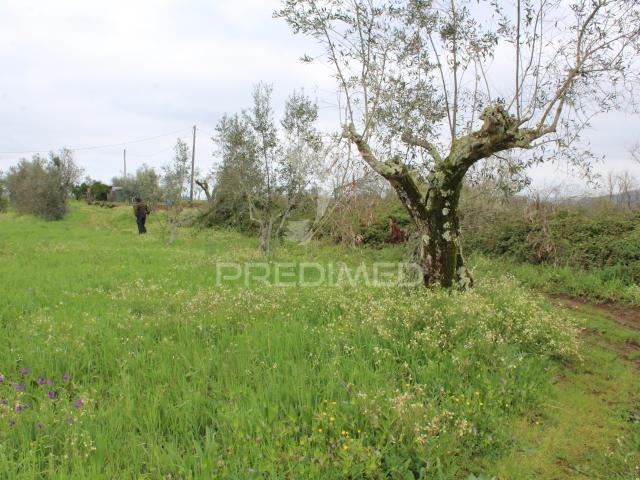 TERRENO RUSTICO