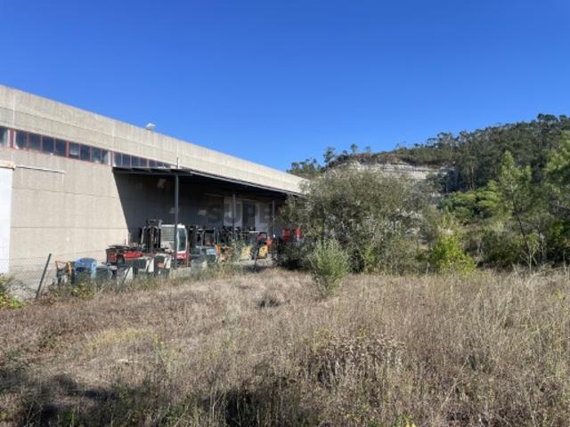 Terreno Rustico