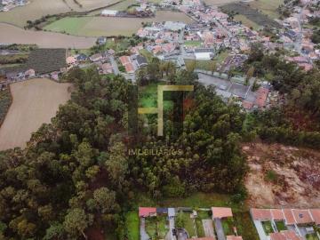 Terreno Rústico | 6.342m² em Gemunde | Oportunidade Única de Investimento e Contato com a Natureza