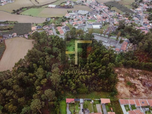 Terreno Rústico | 6.342m² em Gemunde | Oportunidade Única de Investimento e Contato com a Natureza