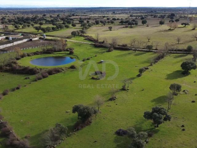 Terreno rustico 7350000 m2