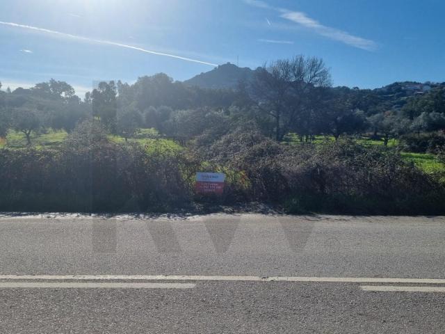 terreno rustico