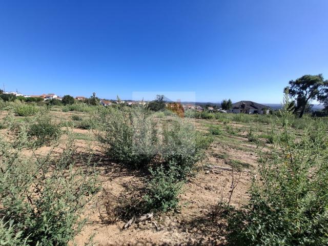 Terreno Rustico