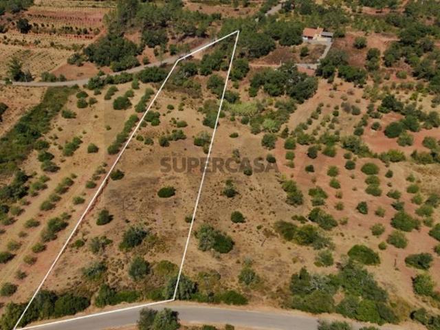 Terreno Rústico | 8.430 m² | Fonte Ares Alte | Loulé