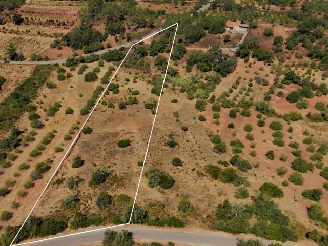 Terreno Rústico | 8.430 m² | Fonte Ares – Alte | Loulé