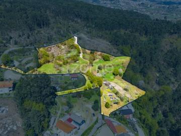 Terreno Rústico c/ 27850m² em Mesão Frio Guimarães