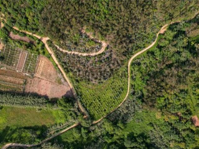 Terreno Rústico com mais de 1.5 Hectares em Mafra Vista Linda e Perto da Ericeira!