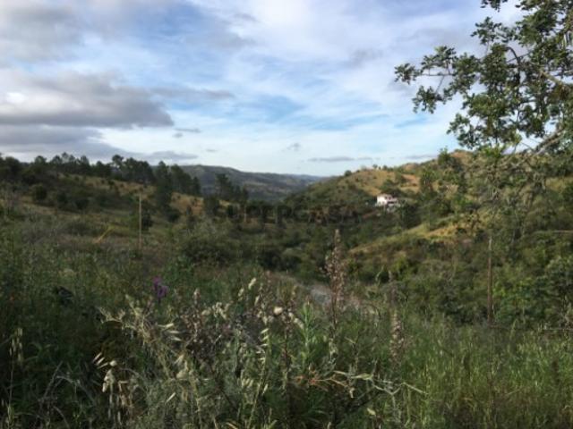 Terreno rústico com nascente de água e belas vistas na serra de Tavira