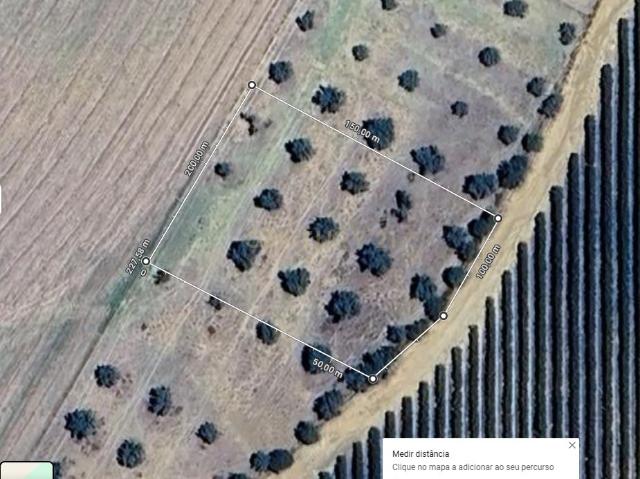 Aljustrel Rio de Moinhos Próximo do Monte Barradas, Terreno Rústico com Oliveiras com 3250 m2