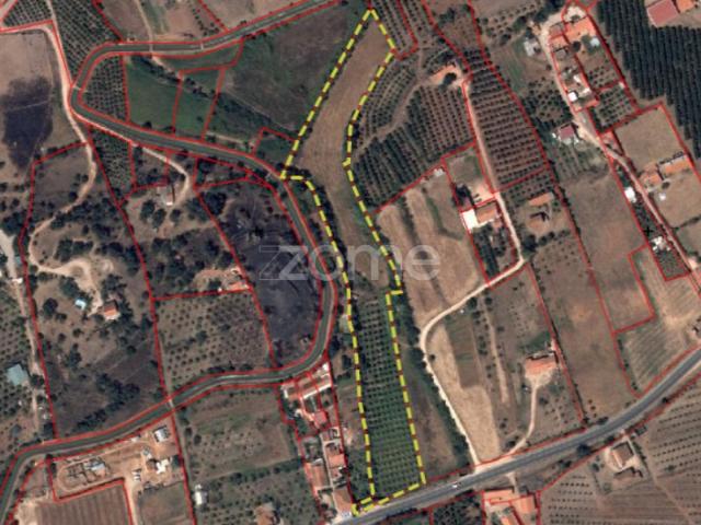 Terreno Rústico com água e energia 13.000 m², Silves