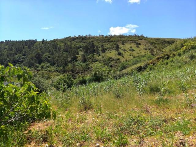 Terreno Rústico com Árvores de Fruto Calhandriz, Vila Franca de Xira