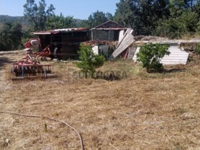 Terreno Rústico com Casa Agricola em Maçainhas, Belmonte
