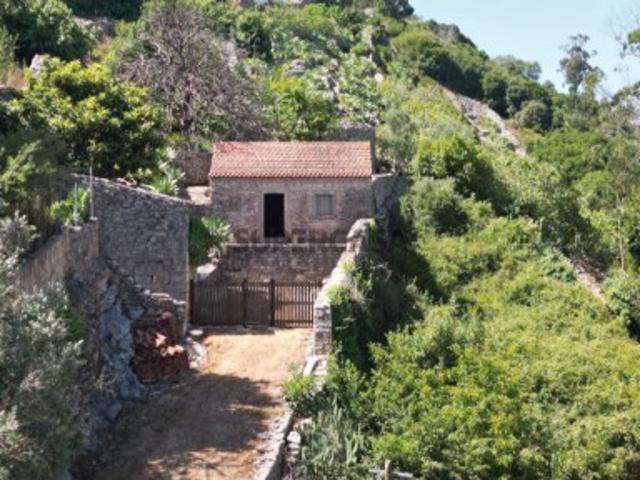 TERRENO RÚSTICO COM CASA AGRÍCOLA EM PEDRA|REGUENGO GRANDE|LOURINHÃ