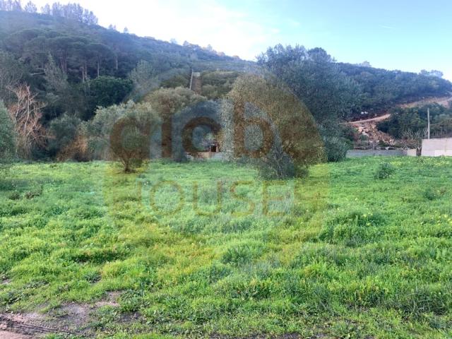Terreno Rústico com capacidade construtiva
