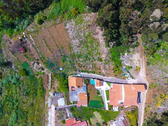 Terreno Rústico com Capacidade Construtiva — Freguesia de Santa Cruz, Madeira