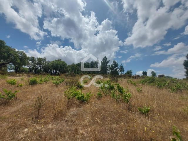 Terreno rústico com cerca de 1,59 hectares | Cabeção Mora