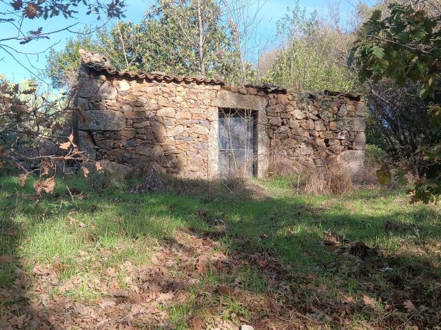 Terreno rústico com construção rural