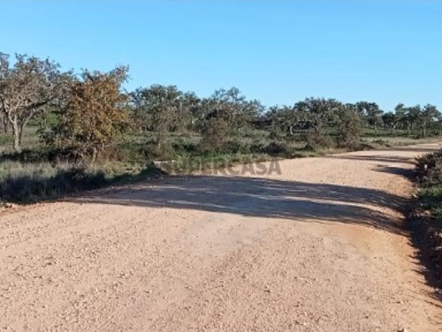 Terreno rústico com dependência agrícola