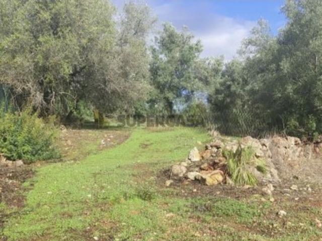 Terreno rustico com excelente localização somente a 17 km, do centro de Albufeira
