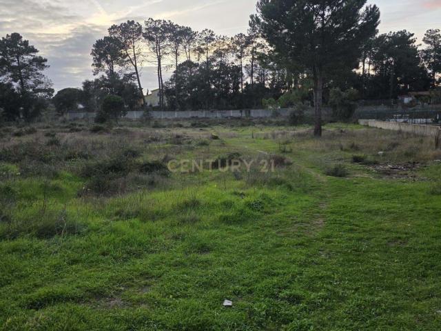 Terreno rústico com elevado potencial construtivo – Casal de Bolinhos, Azeitão