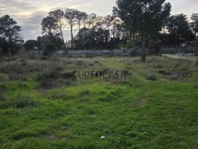 Terreno rústico com elevado potencial construtivo Casal de Bolinhos, Azeitão