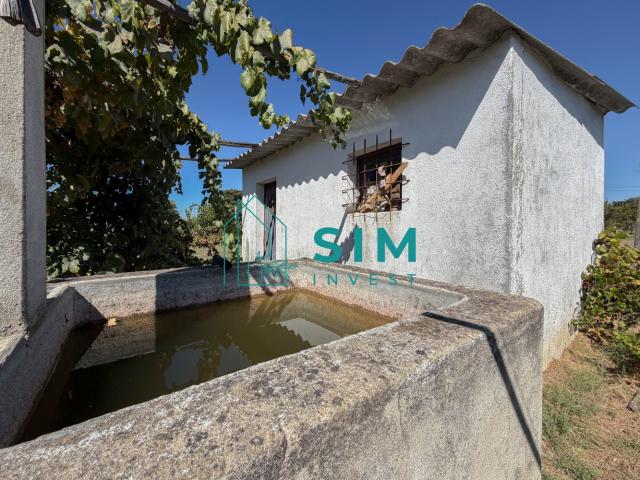 Terreno rústico com furo de água em Cabrito, Abrantes
