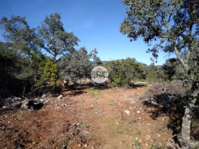 Terreno Rústico com Furo nos Arredores de São Brás de Alportel