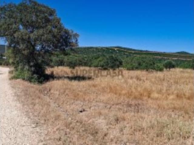 Terreno Rústico com Grande Potencial Agrícola 7.800 m² em Paderne, Albufeira