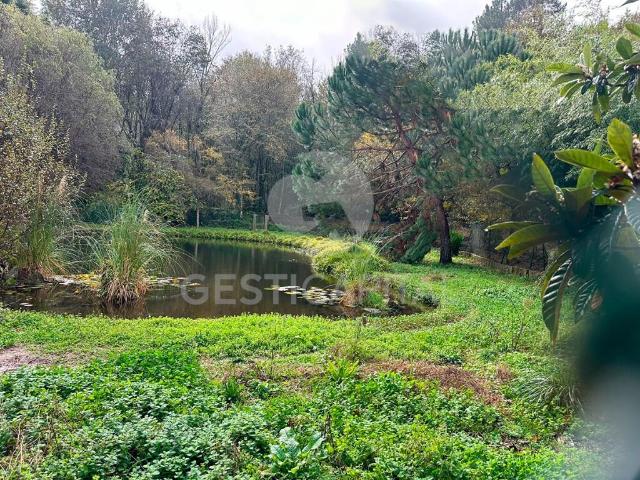 Terreno Rústico com Lagoa no Marco – Um Refúgio de Natureza e Tranquilidade