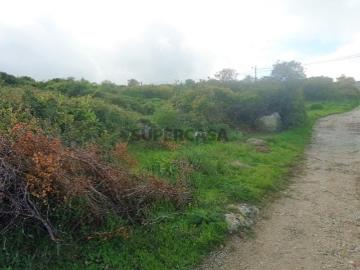 Terreno rústico com plano para 2 Lotes, Tapada da Serra, Vale de Lobos