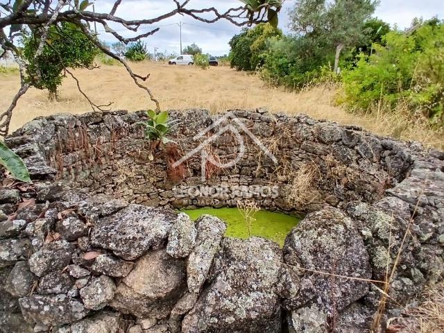 Terreno Rústico com Poço, Árvores de Fruto e Bons Acessos – Mata, Castelo Branco