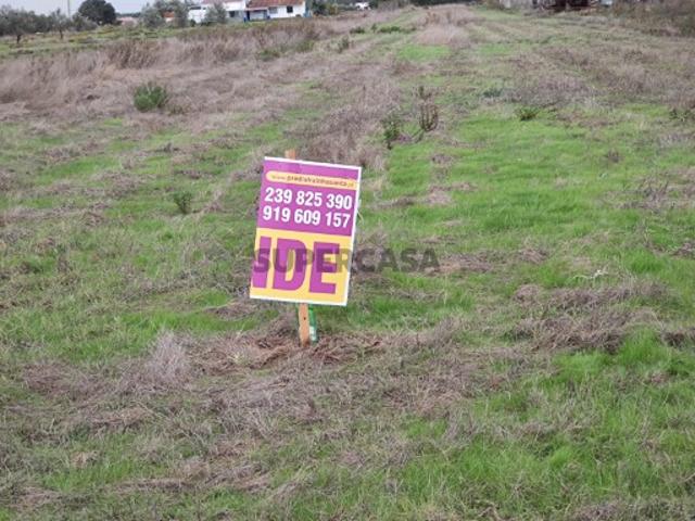 Terreno rustico COM POÇO E ELETRICIDADE NO TERRENO Alpiarça