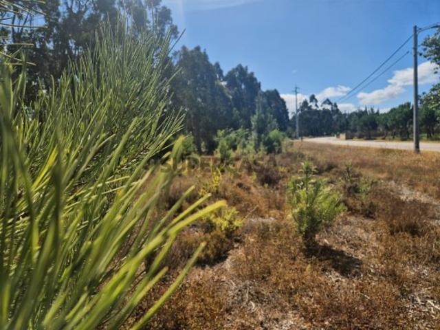 Terreno rústico com possibilidade de construção Ribas, Figueira da Foz