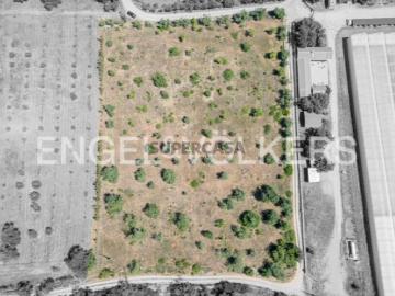 Terreno Rústico com Potencial Agrícola