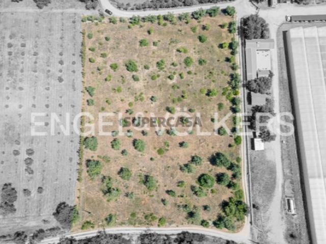 Terreno Rústico com Potencial Agrícola