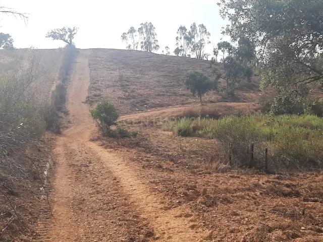 Terreno Rústico com Potencial Agrícola e de Lazer, Ourique, Beja