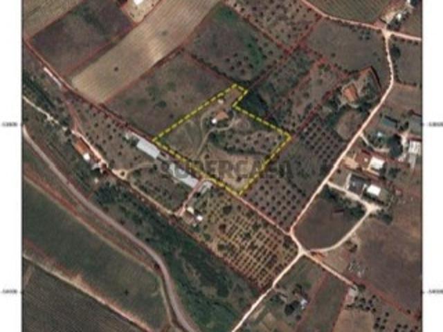 Terreno Rústico com Potencial Agrícola em Viegas