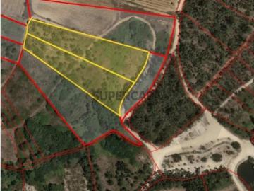 Terreno Rústico com Potencial Agrícola na Ventosa, Alenquer