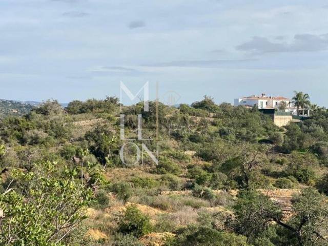 Terreno rustico com potencial de construção em análise