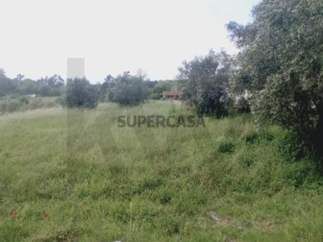 Terreno Rústico com Potencial de Construção Venda Nova, Zona Centro