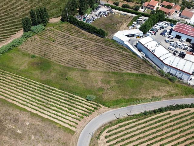 Terreno Rústico com Potencial Industrial – Freiria, Torres Vedras