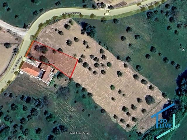Terreno Rústico com Potencial para Construção – A 10 km de Tomar