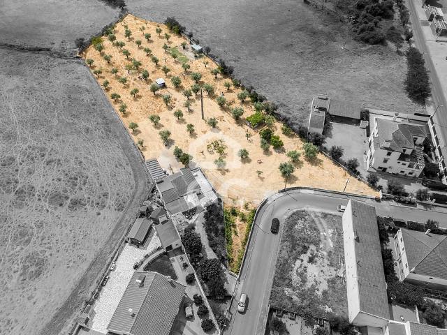 Terreno com Projeto de Moradia | Santa Eulália, Elvas