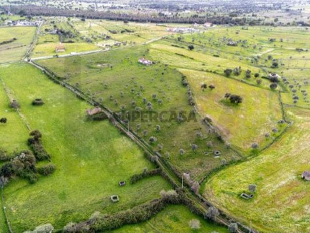 Terreno rústico com ruína e potencial construtivo em Nisa