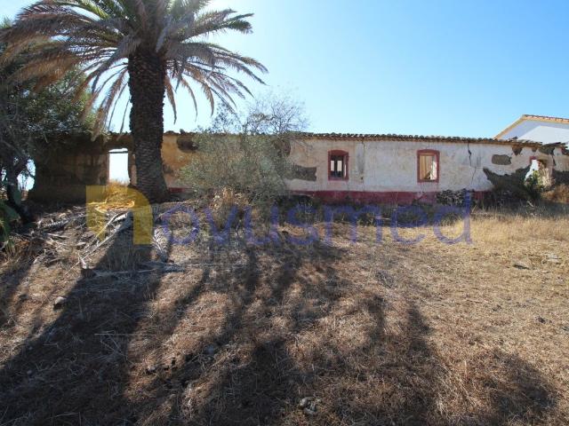 Terreno Rústico com Ruína em São Bartolomeu de Messines 196m² São Bartolomeu De Messines
