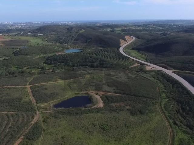 Terreno Rustico Com Viabilidade Construtiva Rustic land with constructive viability